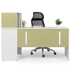 MO Workstation 2448 With Cabinet (