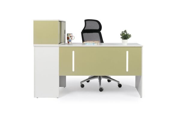 MO Workstation 2448 With Cabinet (
