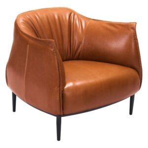 Bedroom Living Room Chair