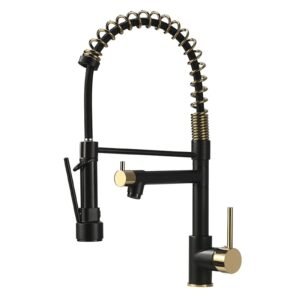 Black Commercial Pull-down Kitchen Faucet