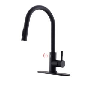 Black Kitchen Sink 1-handle Faucet with Pull Down Sprayer