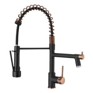 Black Pull-down Kitchen Faucet With two Spouts